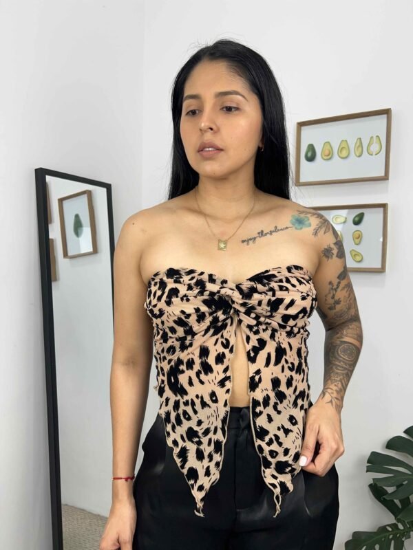 Top Leo